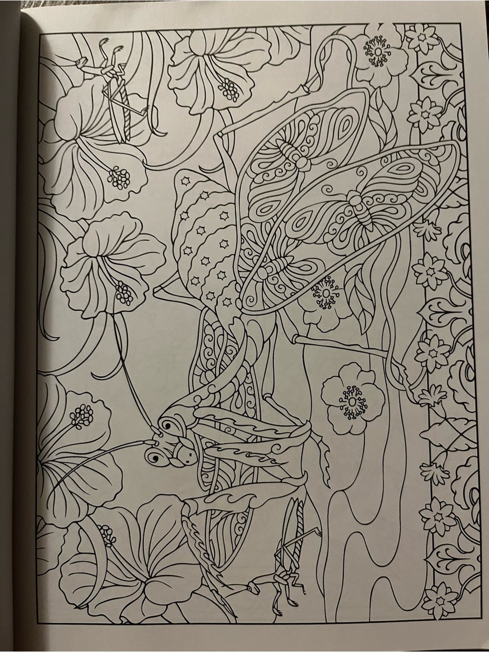 Incredible Insect Designs Coloring Book - Purple & Multicolor - Picture 3 of 10